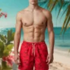 D_NQ_NP_2X_646102-MLC101926976326_122025-F-traje-de-bano-hombre-forro-malla-diferentes-disenos
